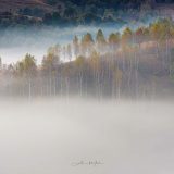 Dumesti, October 2019